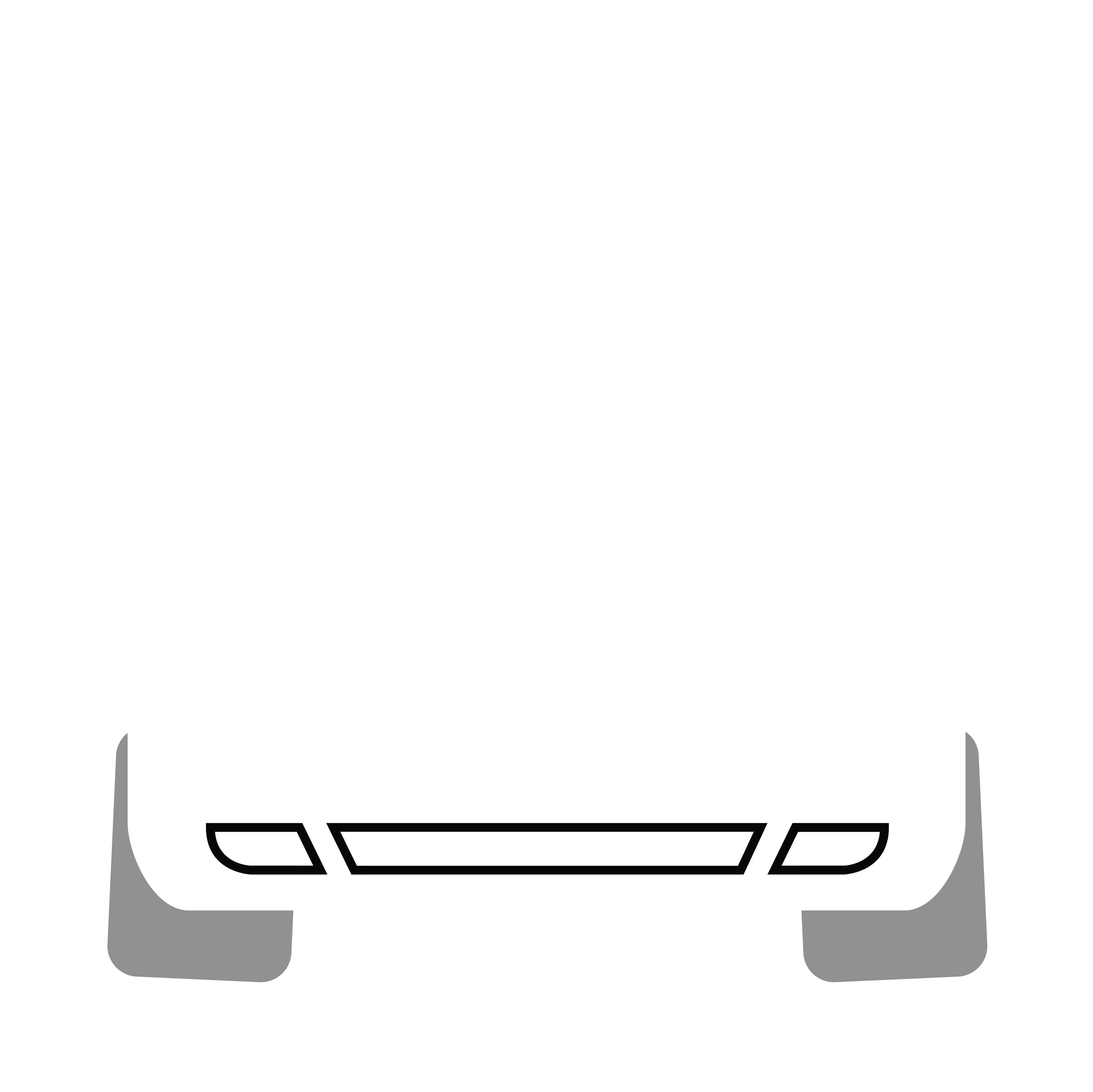 Engine Bay Cleaning