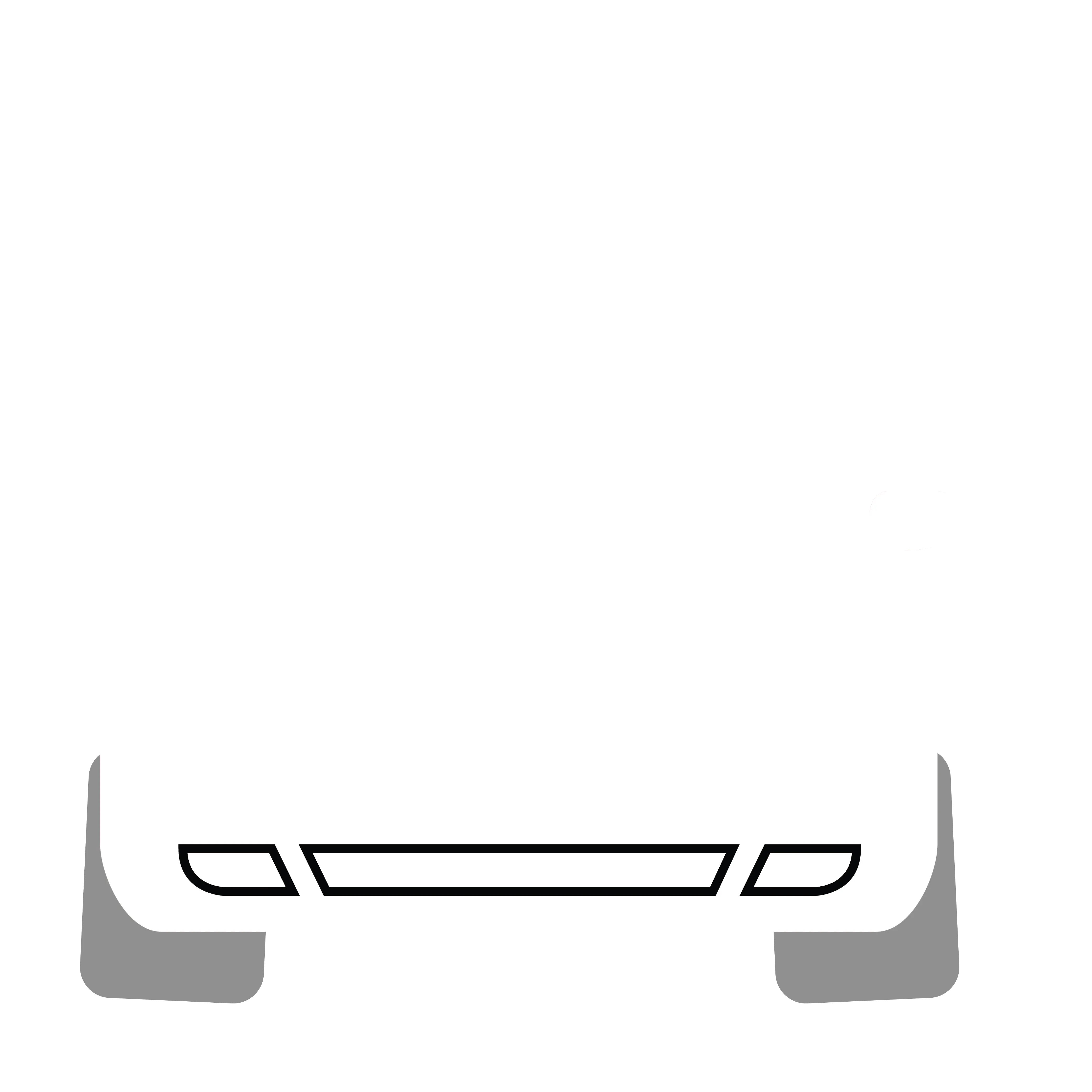 Ceramic Coating